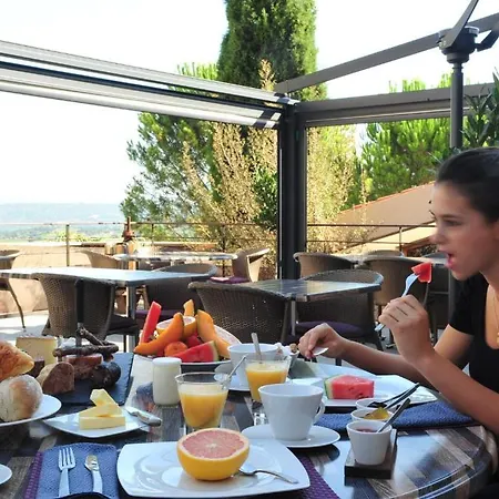 Logis Restaurant Du Vigneron Estalagem 3*