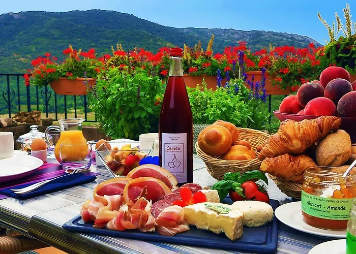 Logis Restaurant Du Vigneron 3* Cucugnan